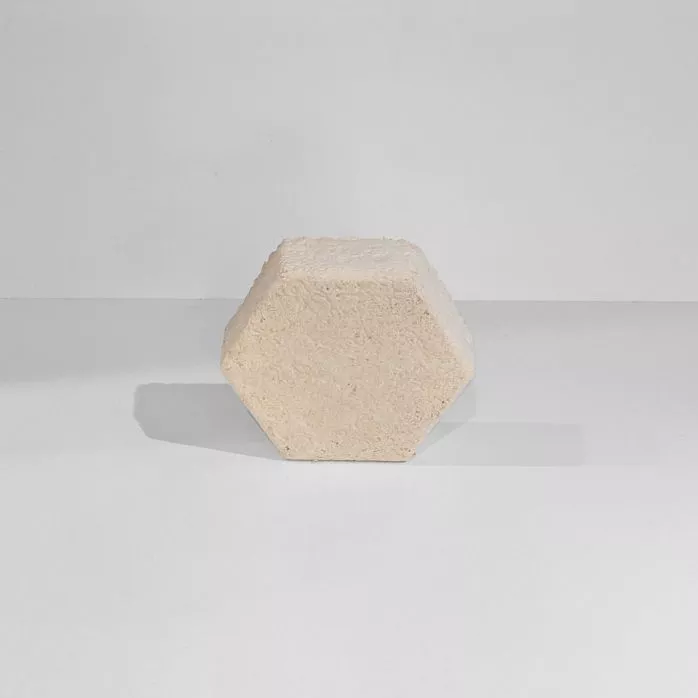 Tuiles en mycélium