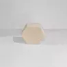 Tuiles en mycélium