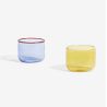 Verre TINT lot de 2