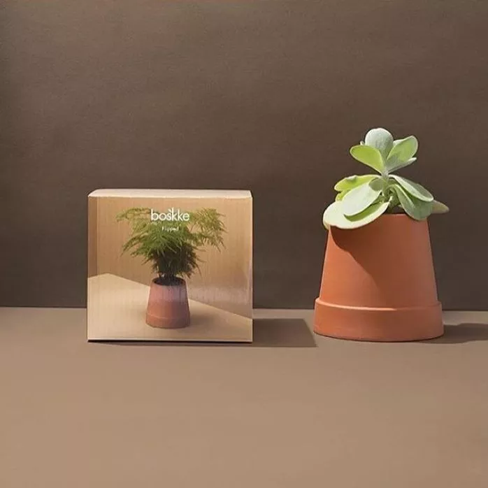 Pot de fleur en terre cuite FLIPPED