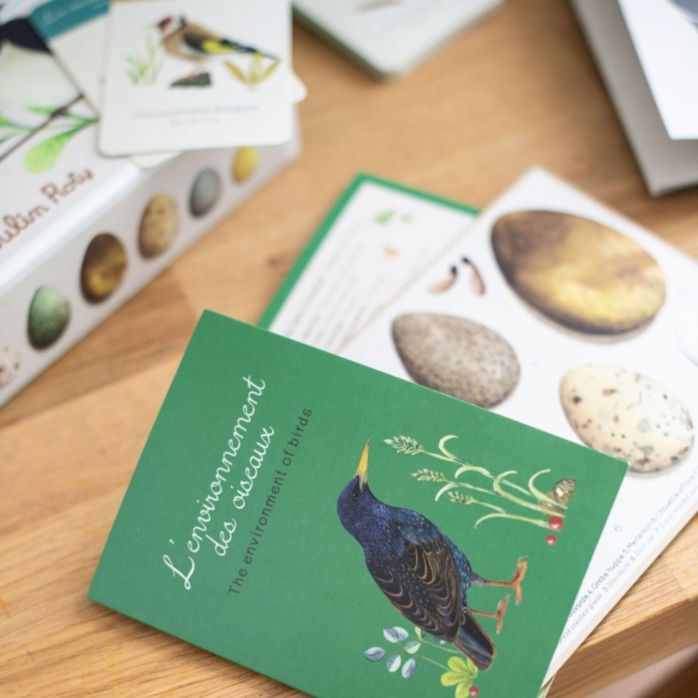 Coffret découverte des oiseaux -Le jardin du moulin