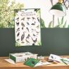Coffret découverte des oiseaux -Le jardin du moulin