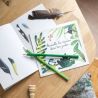 Coffret découverte des oiseaux -Le jardin du moulin