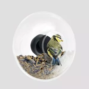 Mangeoire ronde pour fenêtre