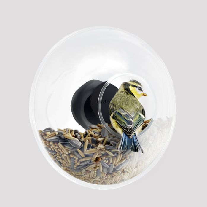 Mangeoire ronde pour fenêtre