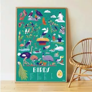 Poster pédagogique +45 stickers - Oiseaux (6+)