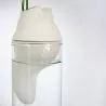 Générescence - Petit vase 
