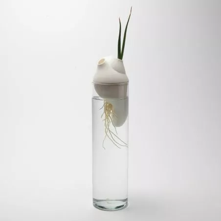 Générescence - Petit vase 