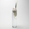 Générescence - Petit vase 