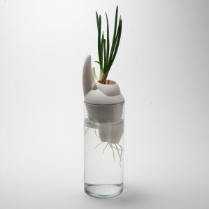 Générescence - Vase large 