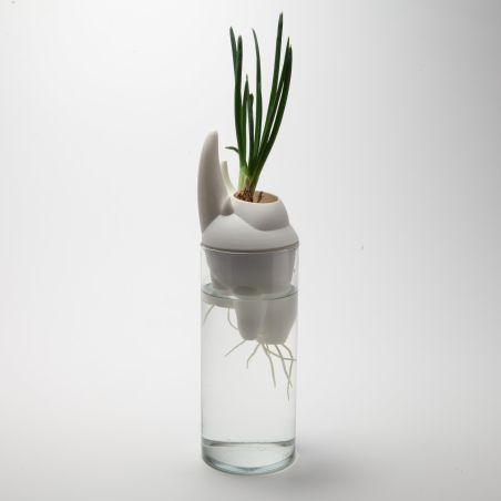 Générescence - Vase large 