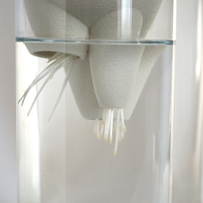 Générescence - Vase large 