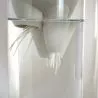 Générescence - Vase large 