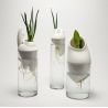 Générescence - Vase moyen 