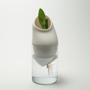 Générescence - Vase moyen 