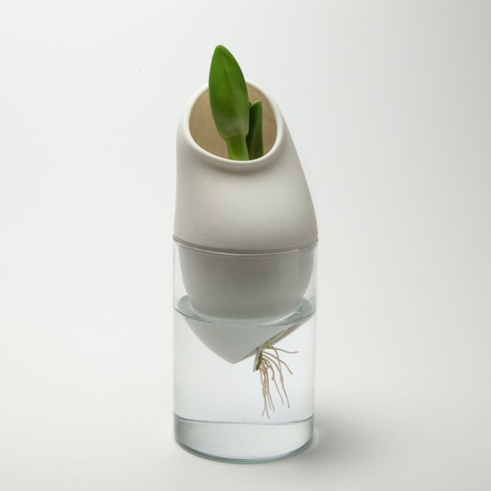 Générescence - Vase moyen 