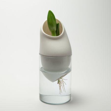 Générescence - Vase moyen 