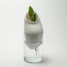 Générescence - Vase moyen 