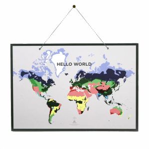 World Map 