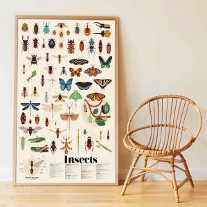Poster pédagogique + 49 stickers - insectes