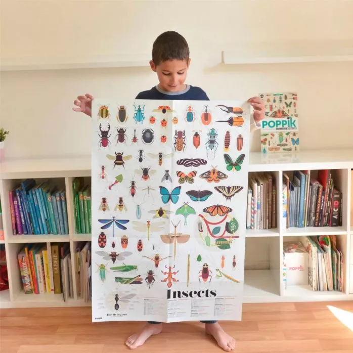 Poster pédagogique + 49 stickers - insectes
