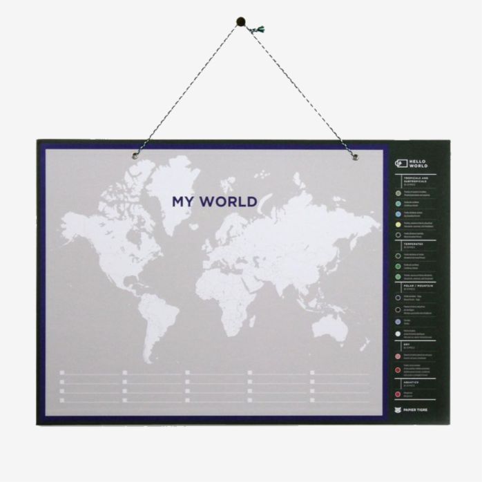 World Map 