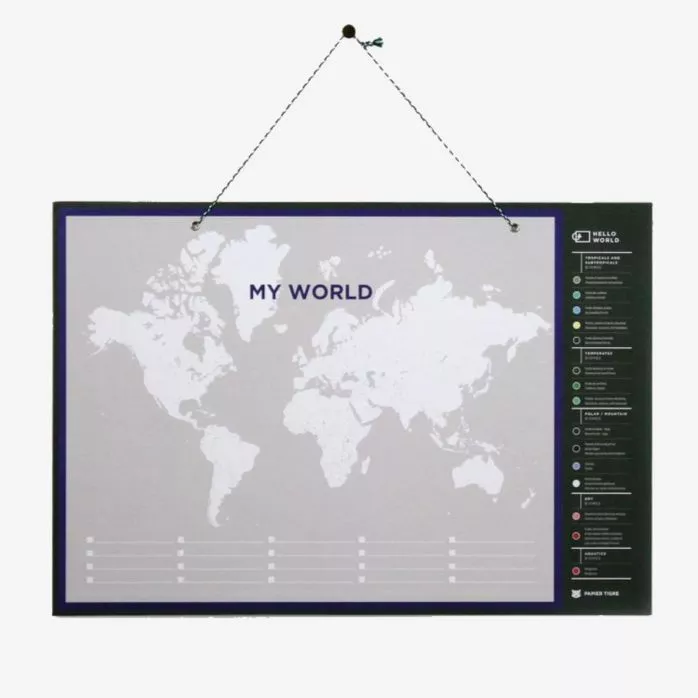 World Map 