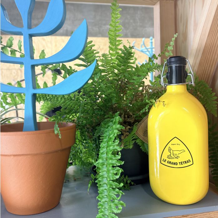 Gourde Originale Concave 1L